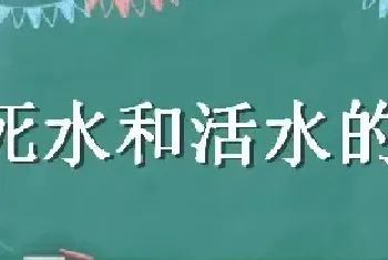 死水和活水的区别