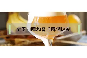 全麦白啤和普通啤酒区别