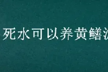 死水可以养黄鳝泥鳅吗