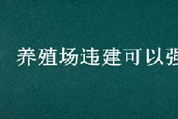 养殖场违建可以强拆吗