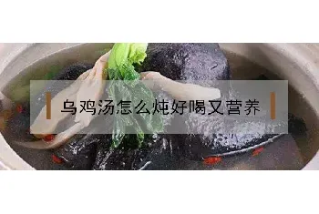 乌鸡汤怎么炖好喝又营养