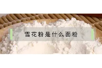 雪花粉是什么面粉