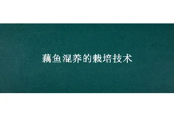 藕鱼混养的栽培技术