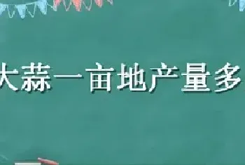 大蒜一亩地产量多少斤