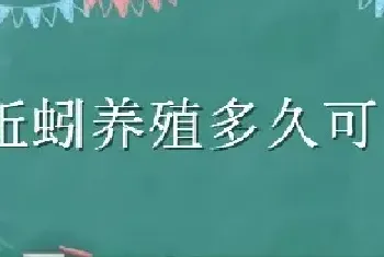 蚯蚓养殖多久可以收获