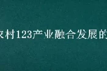 农村123产业融合发展的意义包括