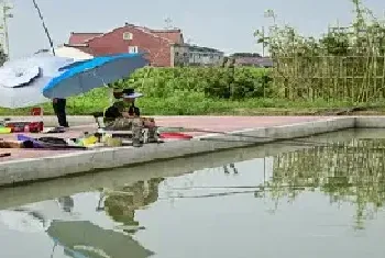 怎样钓鳊鱼用什么饵料