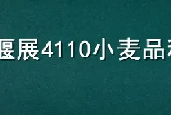 偃展4110小麦品种介绍