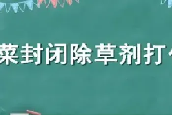 白菜封闭除草剂打什么药啊