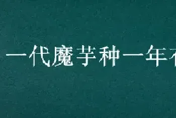 一代魔芋种一年有几斤