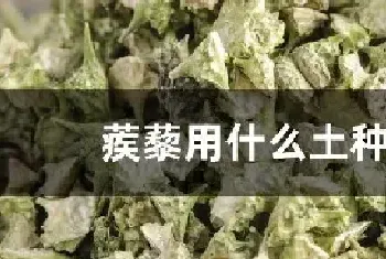 蒺藜用什么土种植