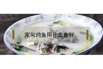 家常炖鱼用什么鱼好