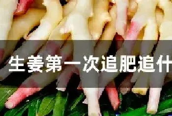 生姜第一次追肥追什么肥好