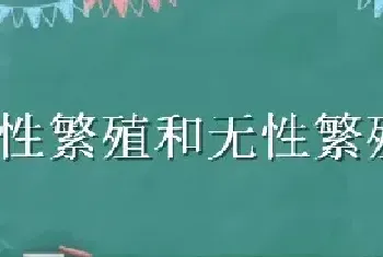 有性繁殖和无性繁殖的区别