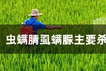 虫螨腈虱螨脲主要杀什么虫