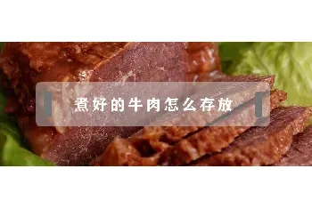 煮好的牛肉怎么存放