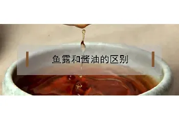 鱼露和酱油的区别是什么？