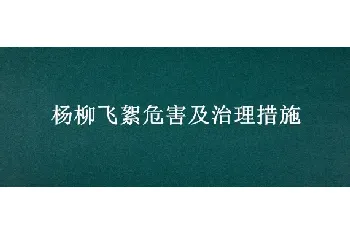 杨柳飞絮危害及治理措施