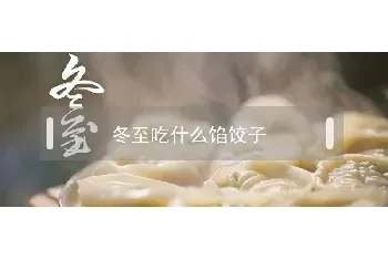 冬至吃什么馅饺子