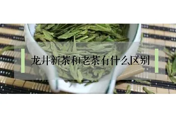 龙井新茶和老茶有什么区别