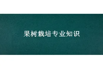 果树栽培专业知识