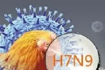 禽流感出现抗药性病毒株及H7N9疫苗研究