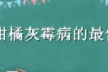 柑橘灰霉病的最佳农药