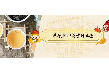 凤凰单枞属于什么茶