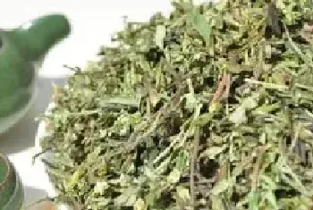 黄芩茶如何制作 黄芩茶的功效与作用