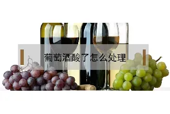 葡萄酒酸了怎么处理