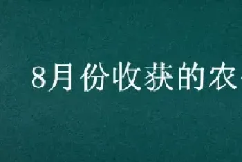 8月份收获的农作物