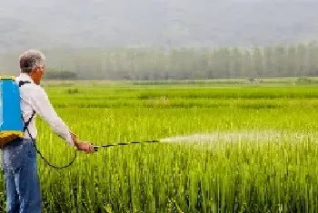 三种不用农药的杀虫方法！