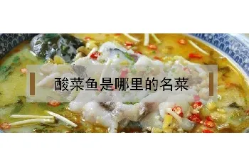 酸菜鱼是哪里的名菜？怎么做好吃