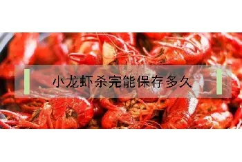 小龙虾杀完能保存多久