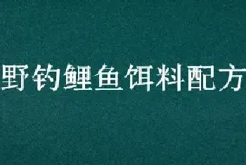野钓鲤鱼饵料配方