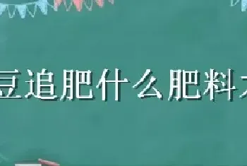 豇豆追肥什么肥料才是高产