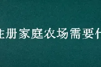 注册家庭农场需要什么条件