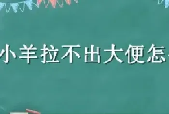 小羊拉不出大便怎么办