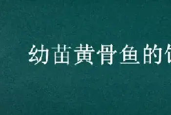 幼苗黄骨鱼的饲料