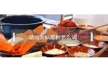 潮汕火锅蘸料怎么调