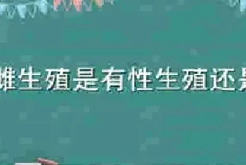 孤雌生殖是有性生殖还是无性生殖