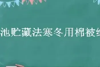 砖池贮藏法寒冬用棉被给果实保温