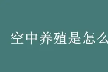 空中养殖是怎么回事