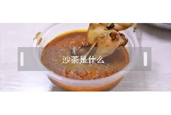 沙茶是什么