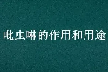 吡虫啉的作用和用途