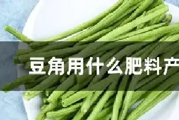 豆角用什么肥料产量高