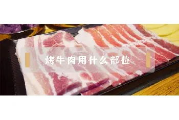 烤牛肉用什么部位