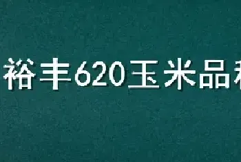 裕丰620玉米品种怎样