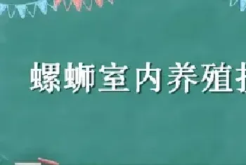 螺蛳室内养殖技术