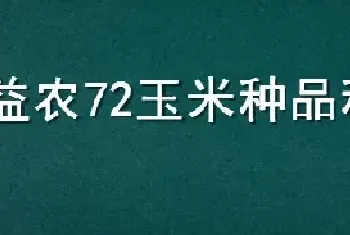 益农72玉米种品种介绍